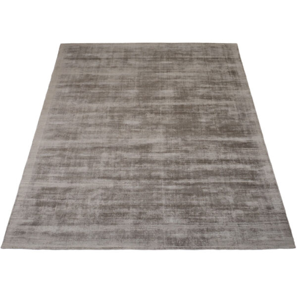 Vloerkleed Cos – Viscose Taupe 240 x 340 cm foto 1