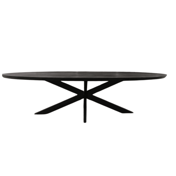 Eettafel Brandy Black | 300 cm | Ovaal foto 1