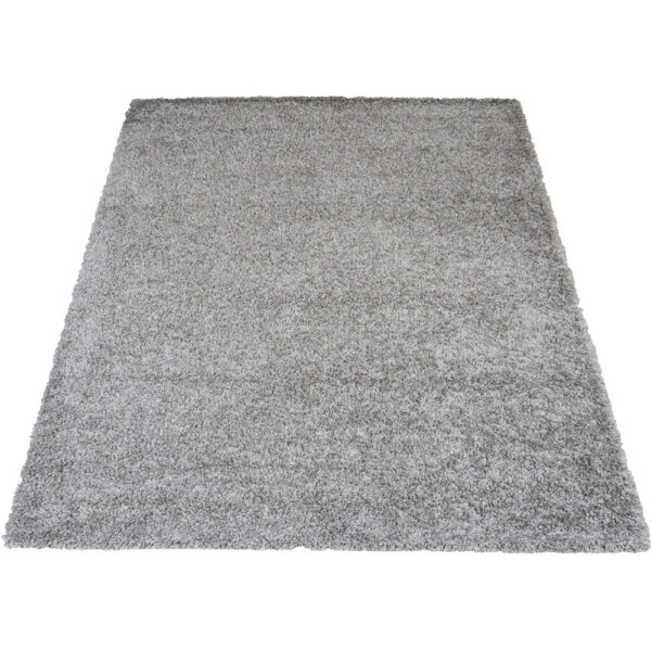 Vloerkleed Buddy Grey 240 x 340 cm foto 1